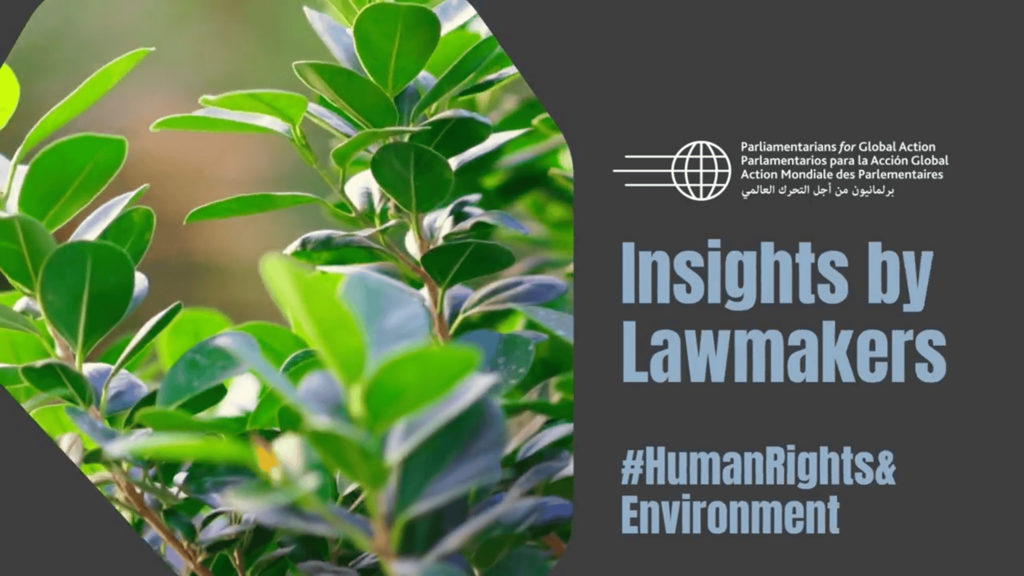 Insights by Lawmakers on Human Rights and the Environment series (#InsightsByLawmakers)