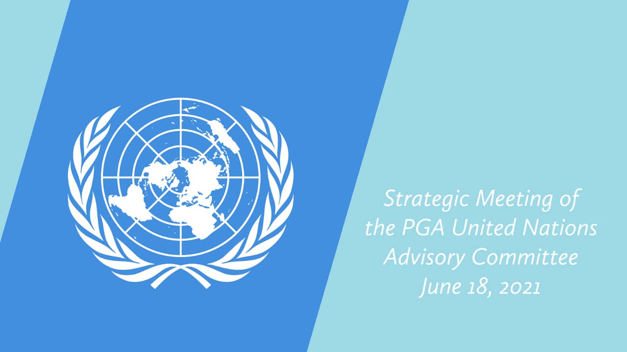 Strategic Meeting of the PGA United Nations Advisory Committee ...